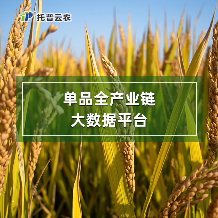 農產品單品種全產業鏈大數據平臺建設方案