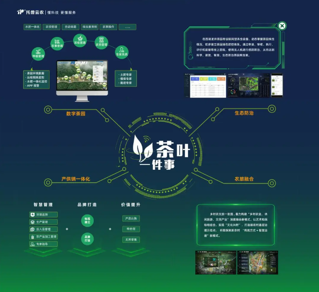 數字茶園案例 | “數字”賦能茶產業，“茶葉一件事”續寫中國茶發展新模式