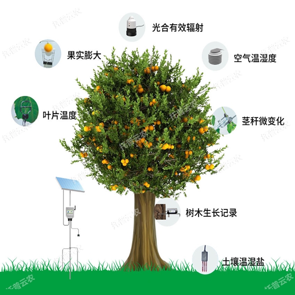 植物生理生態(tài)環(huán)境監(jiān)測(cè)系統(tǒng)