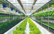 設施農業（智能溫室）綜合解決方案