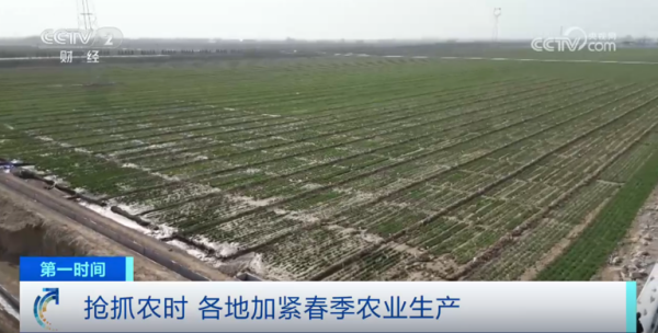 心系糧安、山田無阻、服務有恒|托普云農(nóng)2025年智能裝備巡檢服務全面啟動