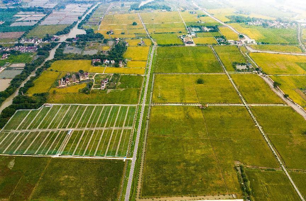 高標案例丨托普云農助力善璉鎮農田“數智”升級