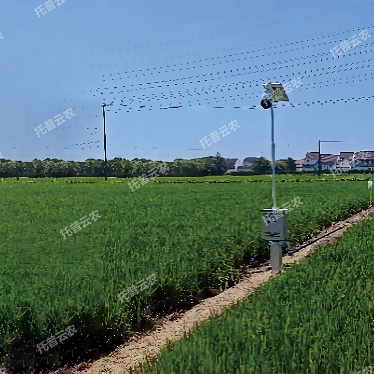 自動趕蛾智能統計桿