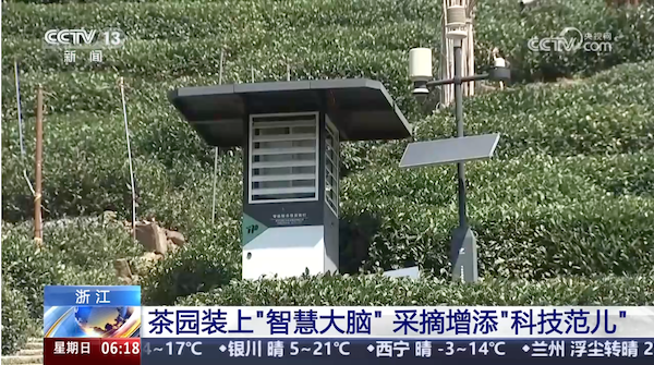 央視、人民網等權威媒體聚焦西湖龍井：托普云農“黑科技”點亮千年茶香智變之路
