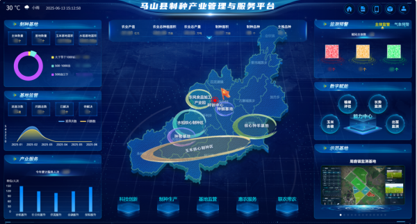 AI+農(nóng)業(yè) | 當(dāng)種子植入“數(shù)智芯片”，馬山縣打造制種基地新標(biāo)桿